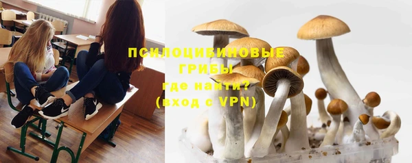 спиды Бородино
