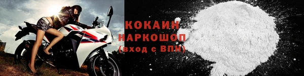 mix Богородицк