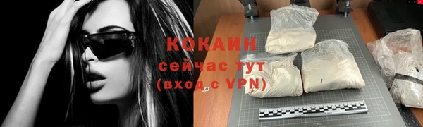 спиды Бородино