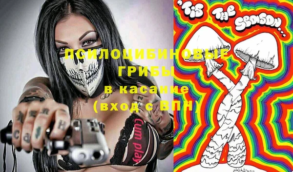 спиды Бородино