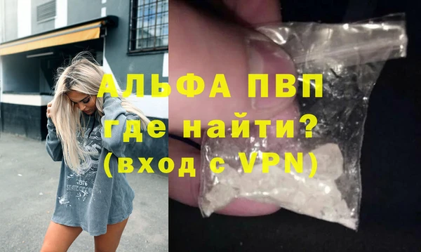 спиды Бородино