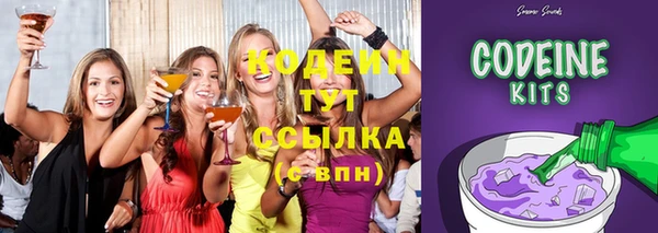 спиды Бородино